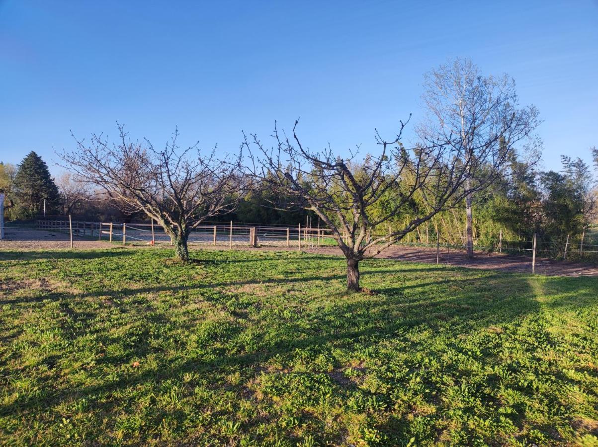 Maison A La Campagne Bouchet  Eksteriør billede